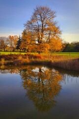 Autumn time. Beautiful landscape with colorful trees. Outdoor natural background for fall time.