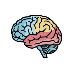 Colorful Human Brain Illustration Representing Thought and Intelligence.