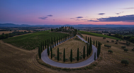 Fototapeta premium Road Through Tuscany-Style Vineyard Hills Aerial Photography