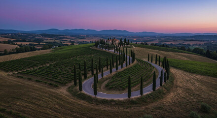 Fototapeta premium Road Through Tuscany-Style Vineyard Hills Aerial Photography