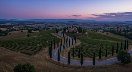 Fototapeta premium Road Through Tuscany-Style Vineyard Hills Aerial Photography