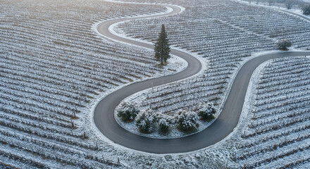 Fototapeta premium Road Through Tuscany-Style Vineyard Hills Aerial Photography