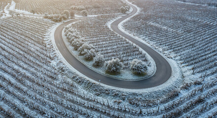 Naklejka premium Road Through Tuscany-Style Vineyard Hills Aerial Photography