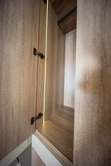 interior of a modern closet made out of wood and led light