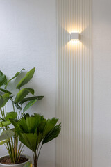 wall with panel, plants and light, balcony