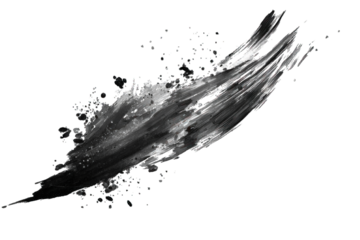 A dynamic, abstract splash of black and white paint, showcasing fluid movement and artistic expression.