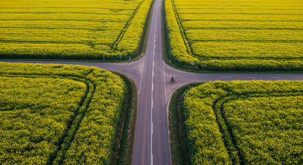 Fototapeta premium Spring Rapeseed Bloom with Rural Road Aerial Photography