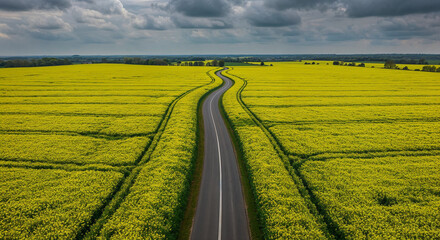 Obraz premium Spring Rapeseed Bloom with Rural Road Aerial Photography