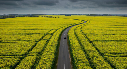 Obraz premium Spring Rapeseed Bloom with Rural Road Aerial Photography