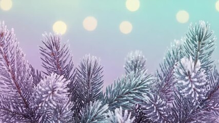 Frosted pine branches against pastel gradient background with golden bokeh lights, winter holiday scene with copy space - Powered by Adobe