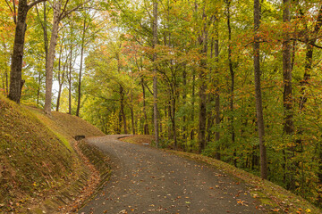 Autumn view of the Appalachian Trail near the Fontana Dam shelter in North Carolina