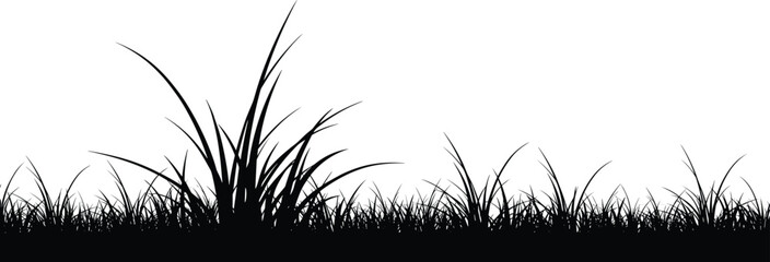 Black grass silhouette illustration with tall blades, natural texture, outdoor landscape element, nature design, environmental background, decorative botanical vector grll 