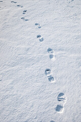 Human hiking footprints in fresh snow surface. Winter outdoor footstep imprint for sports lifestyle activity, journey, tourism and travel.