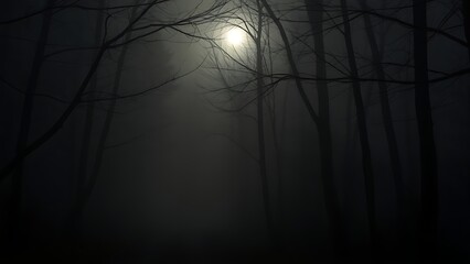 cryptographer. A misty forest path at night with moonlight filtering through silhouetted trees and atmospheric fog. travel magazines, destination branding, designed for travel destination branding.