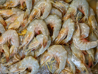 Overhead close-up of a pile of fresh raw Whiteleg shrimps with heads and shells intact, displaying pale grey-pink tones, likely on ice at a seafood market.