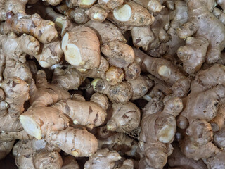 A high-angle, close-up shot of a large, dense pile of fresh ginger roots, showing their pale brown, textured skin and knobby, irregular shapes.