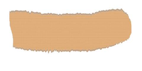 Ripped paper torn edges vector illustration. Realistic torn paper texture background. 
