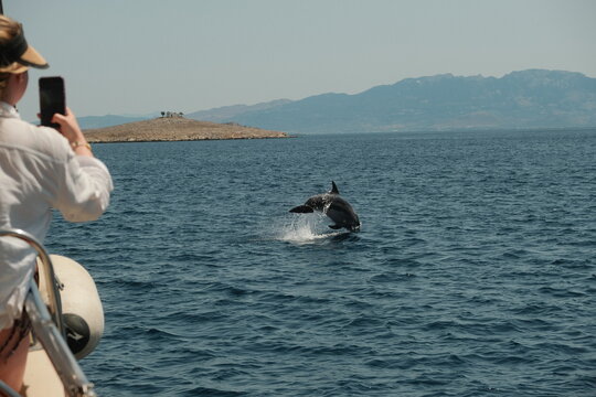 Dolphin Jumping Near Boat Kos Island