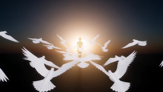 Silhouette of person surrounded doves sunset
