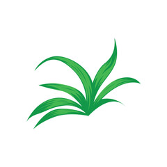 Green Grass or Tropical Leaf Graphic Vector Element