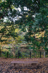 Scenic Autumn Landscape of Maruyama Park in Sapporo, Hokkaido, Japan