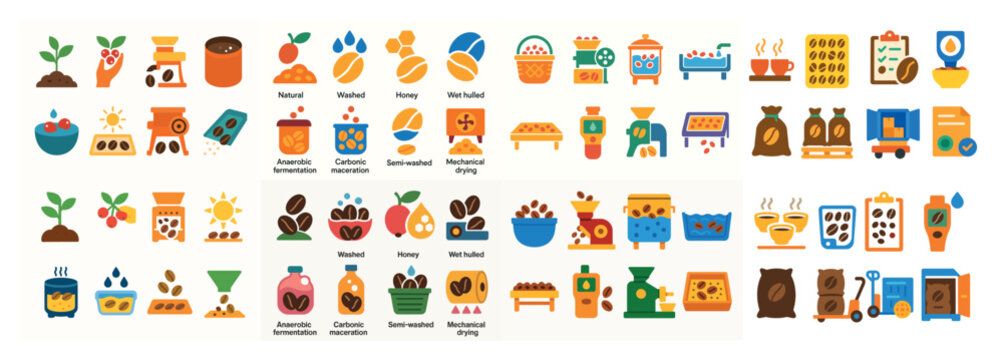 Coffee processing stages illustrated with icons