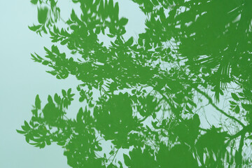 green leaves background