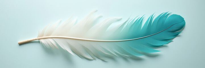 Flat lay of natural feathers in white and turquoise hues on soft pastel background, clean minimal pattern