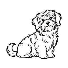 Cute fluffy dog sitting and looking forward line drawing