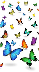 Fototapeta premium Fluttering Symphony - A Kaleidoscope of Butterflies in Flight.