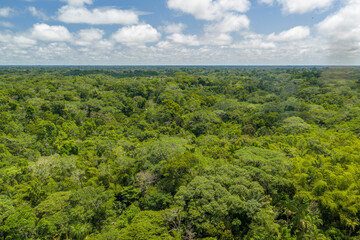 Amazon rain forest huge aerial panorama landscape, puerto narino amazonas colombia