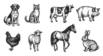 Black and white sketch of various domestic animals including a dog, cat, cow, pig, chicken, sheep, horse, and rabbit.