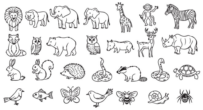 Black and white outline drawings of various wild animals including a lion, elephant, giraffe, monkey, zebra, and more, shown in a simplistic cartoon style.