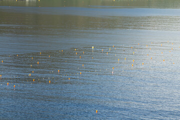 Calm water with fishing floats, a detail from coastal travel in the Faroe Islands. © Евгения Руденок