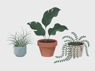 This elegant arrangement features various indoor plants in decorative pots, exemplifying modern interior design trends focused on greenery and lifestyle enhancement.