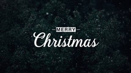 The words "MERRY Christmas" in white script and block letters are centered over a dark, close-up background of pine or fir tree branches with falling snow.