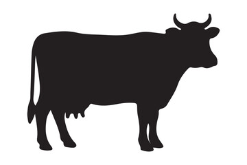 Vector file concept for graphic design and digital illustration