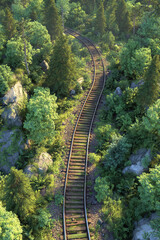 Railway Tracks Curving and Splitting Through Dense Greenery on Transparent Background