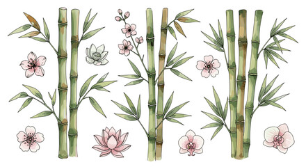 Watercolor painted bamboo stalks with delicate hand-drawn cherry blossoms, lotus flowers, and orchids, isolated on a clean white background, creating a serene and elegant natural composition, perfect