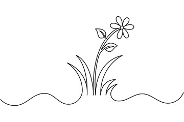 Elegant grass and flower line drawing isolated on white background

