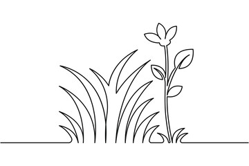 Elegant grass and flower line drawing isolated on white background
