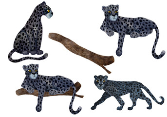 Panthers set. Three charming cartoon-style animals and a wood log on white background. Perfect for kids&rsquo; projects, women's wear prints,patterns, stickers, and playful designs.
