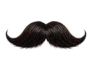 A close-up of a dark, curved mustache with detailed texture, isolated against a black background