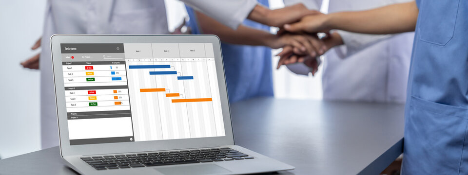 Project planning software for brisk business project management on the computer screen showing timeline chart of the team project