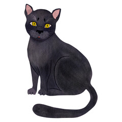 Sitting black cat. Hand drawn digital watercolor illustration. Halloween image in cartoon style isolated on transparent background.