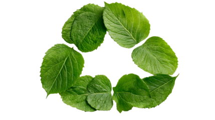 Green leaf recycling symbol on black background