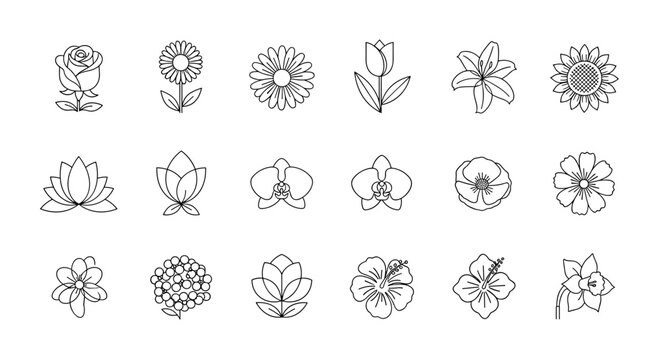 A meticulously curated collection of 18 distinct line art flower icons, presented as a clean, ordered set on a crisp white background, ideal for graphic design and branding applications, featuring