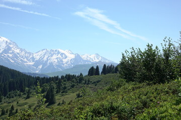 Naklejka premium Aussicht bei Le planet bei, La giettaz