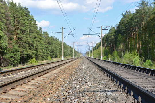 Parallel Railway Tracks Extending Through a Dense Forest Landscape