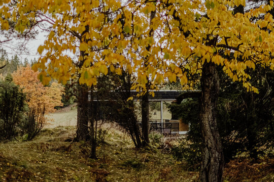 Malerisches Trosa &ndash; skandinavische Stadtidylle im Herbst